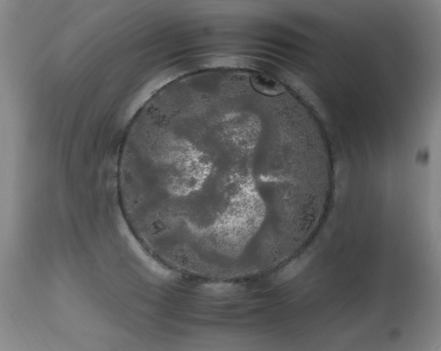 X0000112971033200909031041