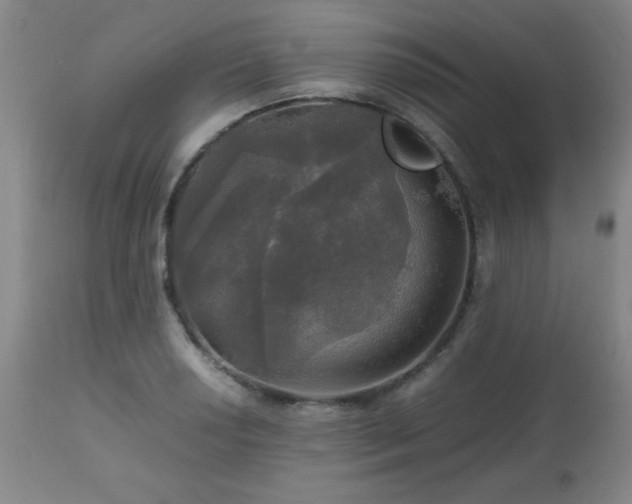 X0000112971034200909031041