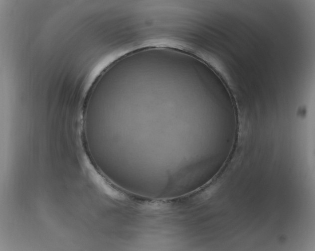 X0000112971040200909031041