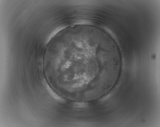 X0000112971041200909031041