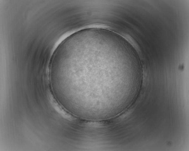 X0000112971044200909031041