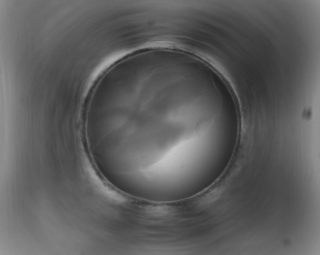 X0000112971045200909031041