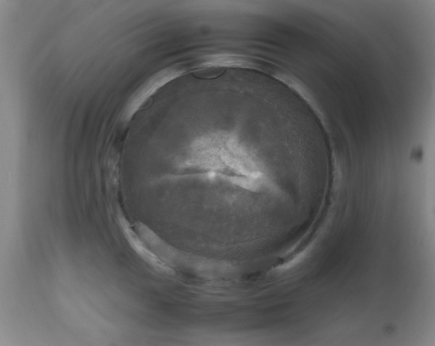 X0000112971049200909031041