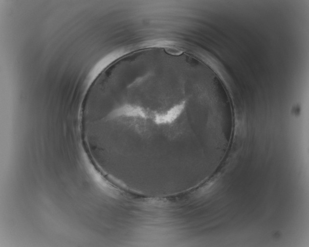 X0000112971050200909031041