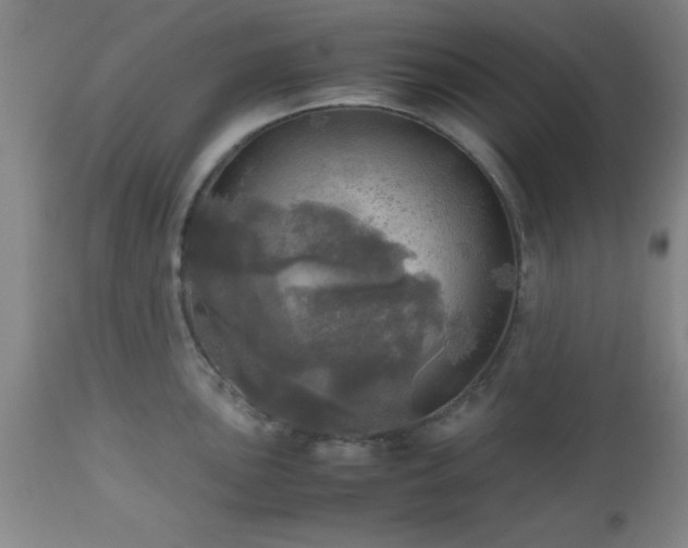 X0000112971051200909031041