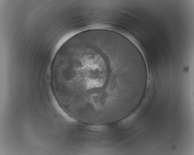 X0000112971053200909031041