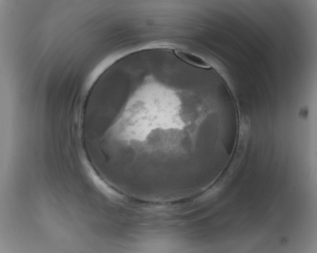 X0000112971054200909031041