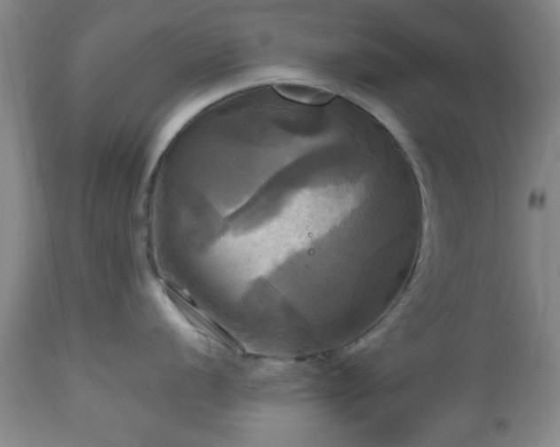 X0000112971056200909031041