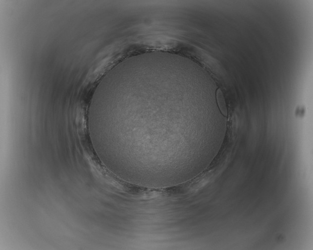 X0000112971058200909031040