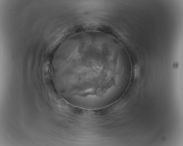 X0000112971059200909031040