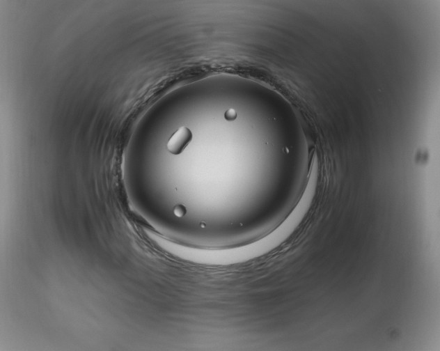 X0000112971060200909031040