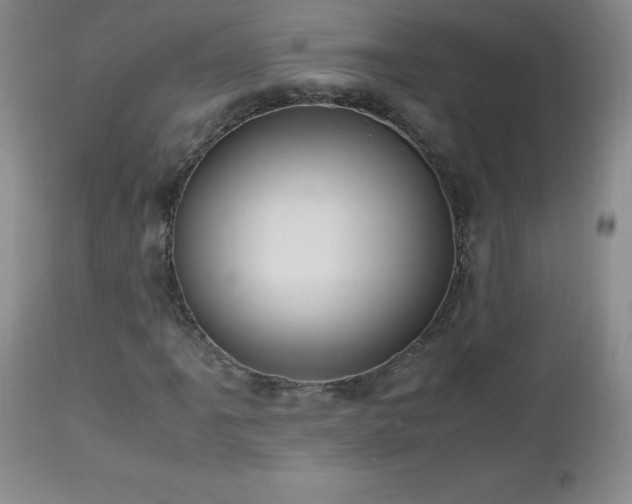 X0000112971061200909031040