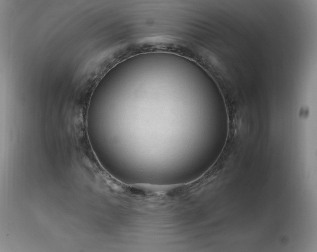 X0000112971062200909031040