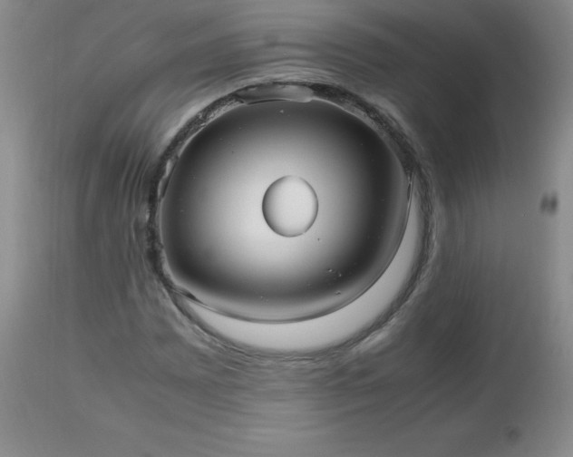 X0000112971065200909031040