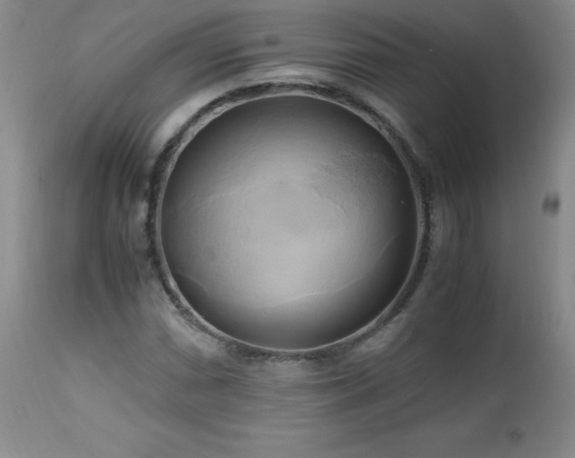 X0000112971066200909031040