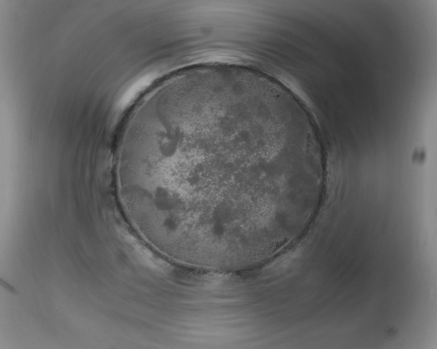 X0000112971067200909031040