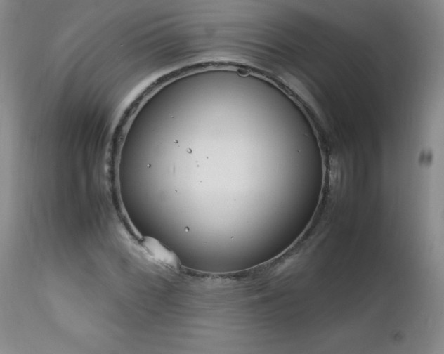 X0000112971068200909031040