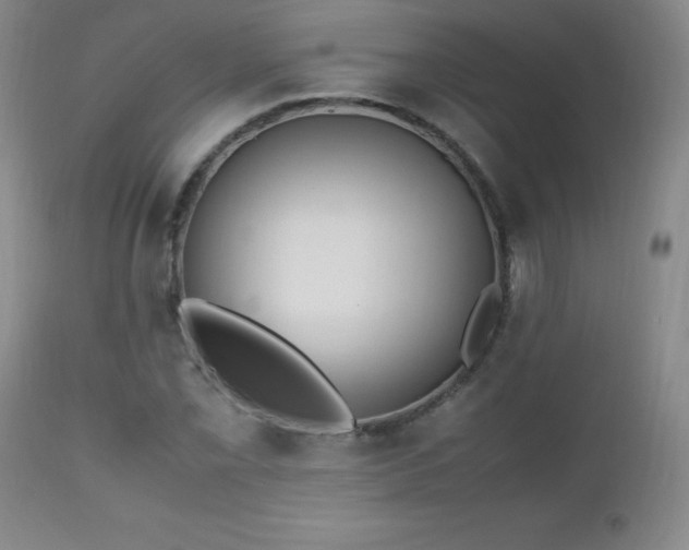 X0000112971069200909031040