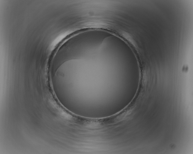 X0000112971071200909031040