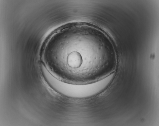 X0000112971072200909031040