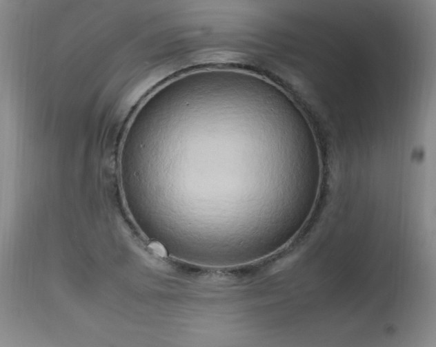 X0000112971073200909031040