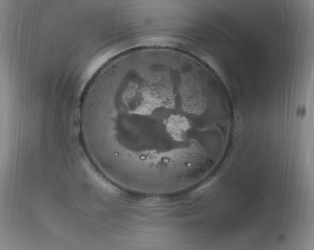 X0000112971075200909031040