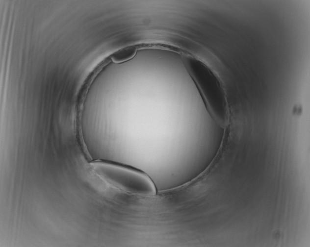 X0000112971076200909031040