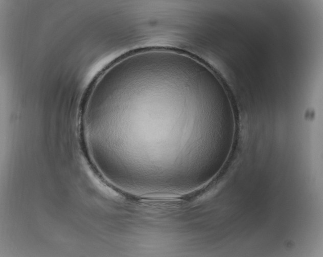 X0000112971077200909031040