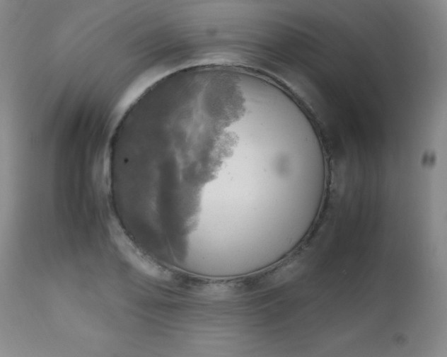 X0000112971078200909031040