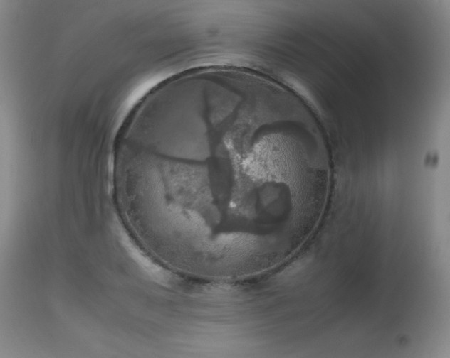 X0000112971079200909031040