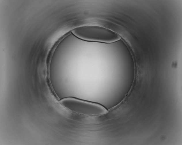 X0000112971080200909031040