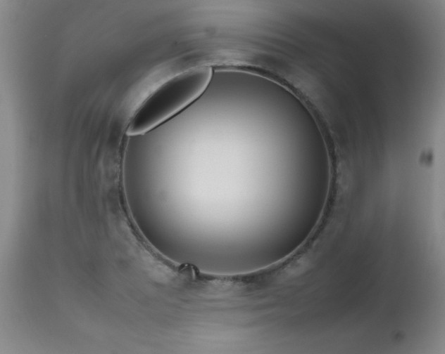 X0000112971081200909031040