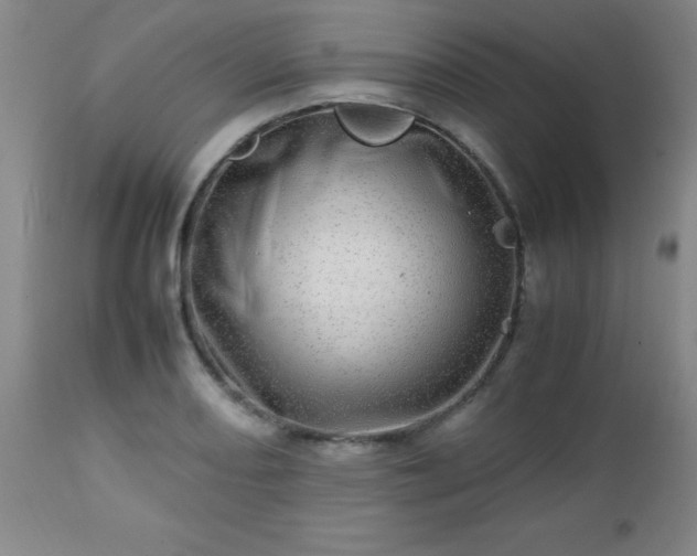 X0000112971082200909031040