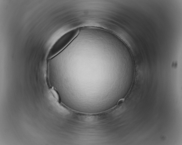 X0000112971084200909031040