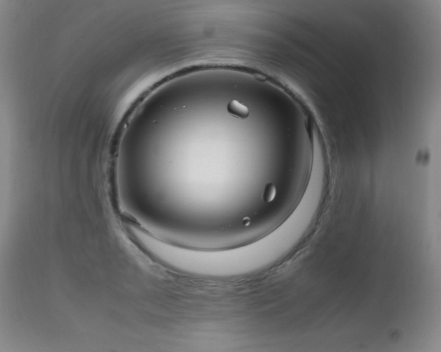 X0000112971085200909031040