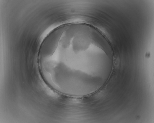 X0000112971086200909031040