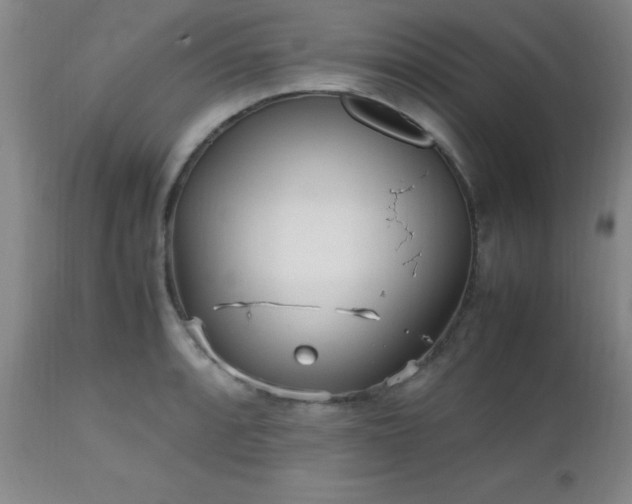 X0000112971088200909031040