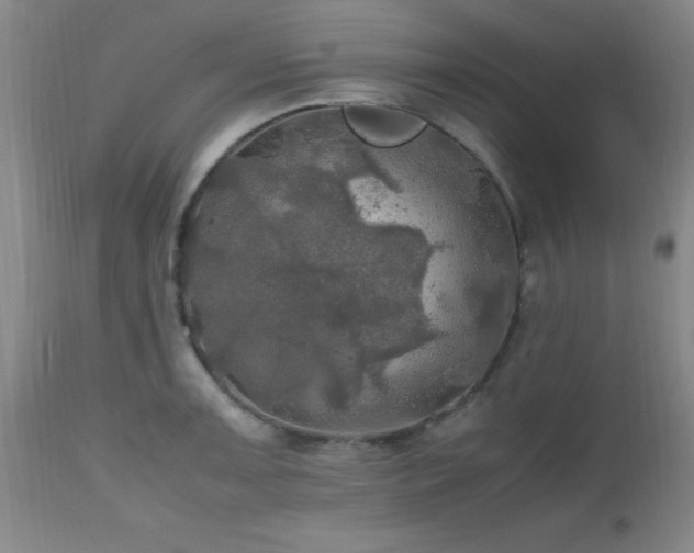 X0000112971091200909031040