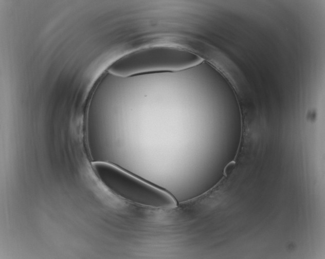 X0000112971092200909031040