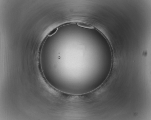 X0000112971093200909031040