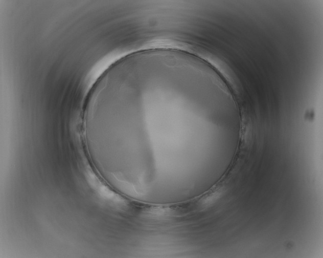 X0000112971094200909031040