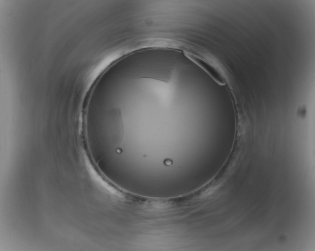 X0000112971095200909031040