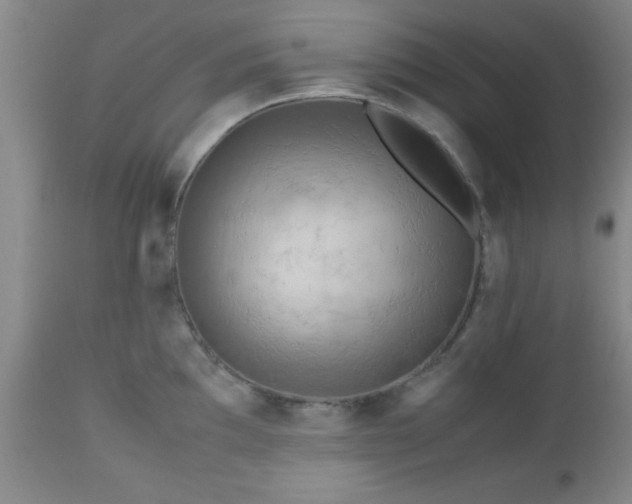 X0000112971097200909031040