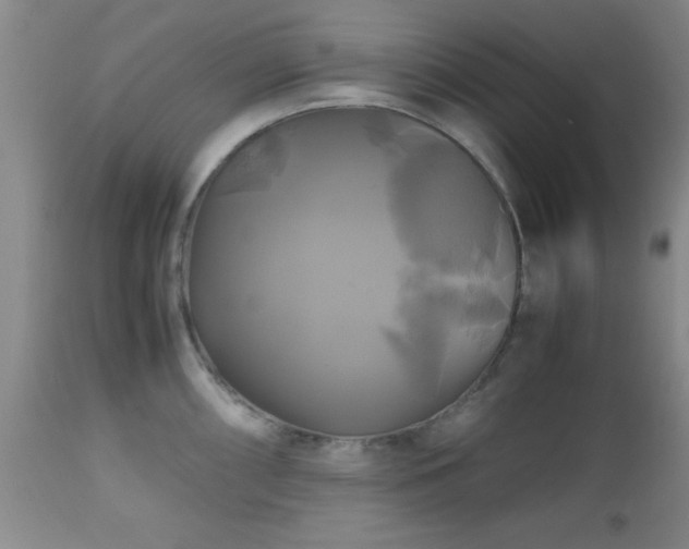 X0000112971098200909031040