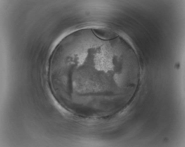 X0000112971099200909031039