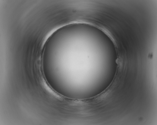 X0000112971100200909031039