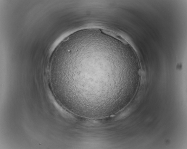 X0000112971101200909031039