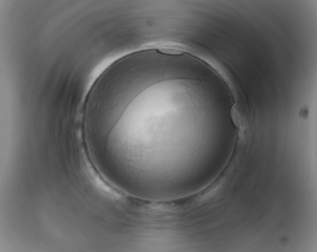 X0000112971102200909031039