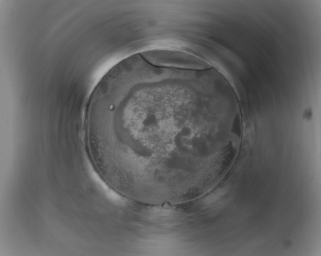 X0000112971103200909031039