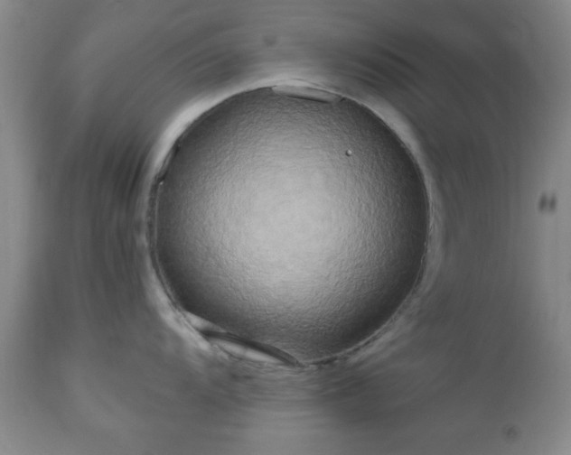 X0000112971104200909031039